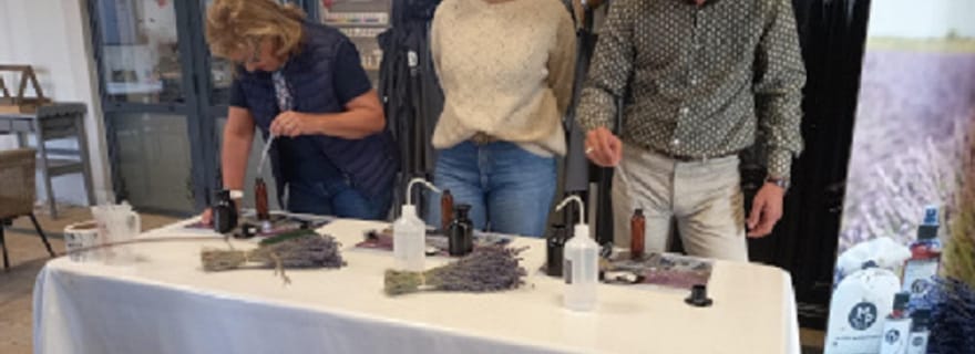 Depuis Avignon : visite l'après-midi, découverte de la lavande et plus encore