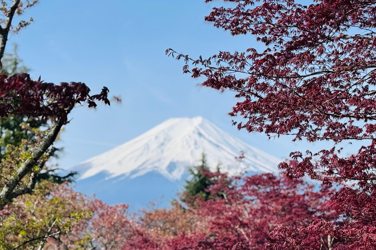 Tokyo: Private Daytrip to Mount Fuji - Fully Customizable Mt Fuji Private Luxury Van Tour (Customizable Experience)