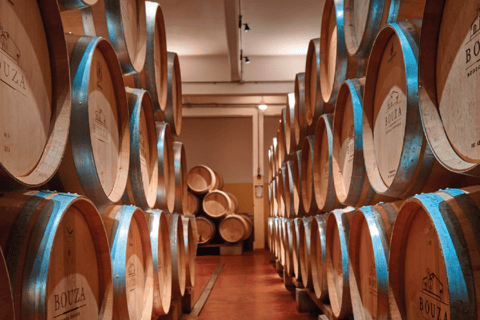 Montevideo: Wine Tasting Tour for Cruise Passengers