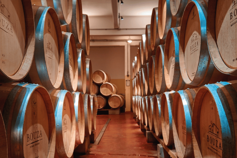 Montevideo: Wine Tasting Tour for Cruise Passengers