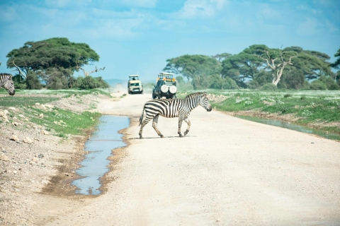 Amboseli: Private Day Trip from Nairobi