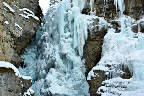 Banff y Lake Louise: Excursiones llenas de diversión con Rewild Adventures