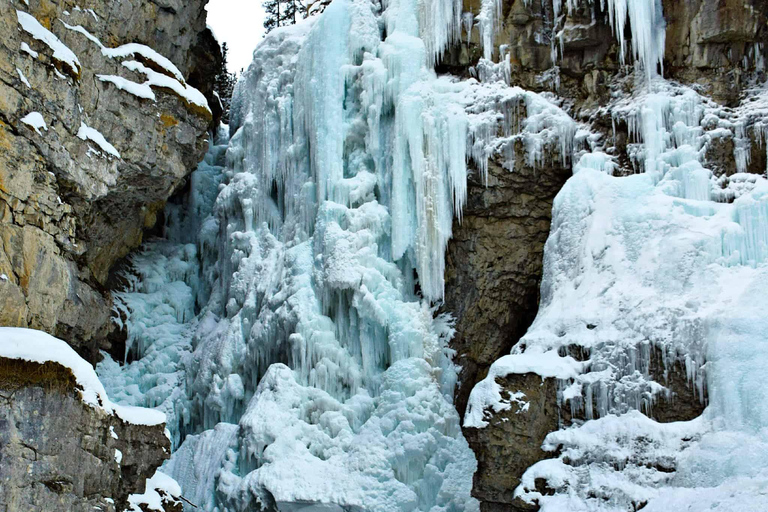 Banff e Lake Louise: Passeios cheios de diversão com a Rewild Adventures