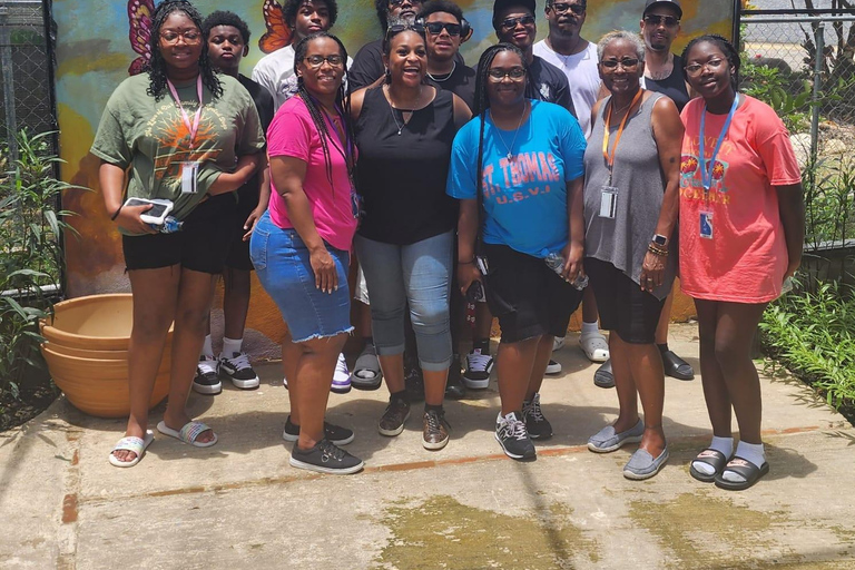 Puerto Plata: Panoramic Tours, Butterfly Garden, Countryside Views