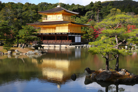 Kyoto: Private 10-Hour Tour with Vehicle & English Guide
