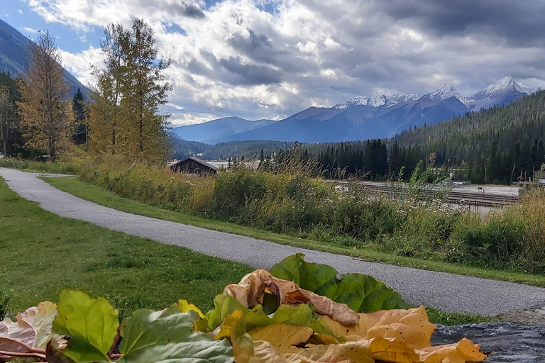 Calgary, Canmore, Banff, Gondel, Lake Louise, Peyto/Emerald