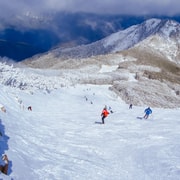 Mt Buller Getaway Day Trip: Daily Departures, More Snow Time