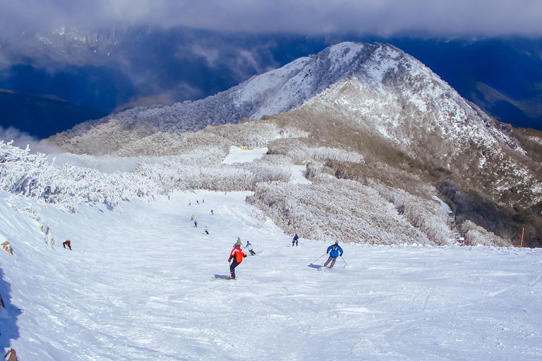 A partir de Melbourne: Excursão de um dia ao Mt Buller para apreciar a neveDe Melbourne: Excursão de um dia para o Mt Buller, um refúgio nevado com vistas incríveis