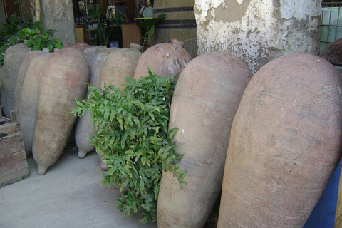 Pisco &amp; Wine Tasting Tour: Descobre a fascinante viagem do Pisco