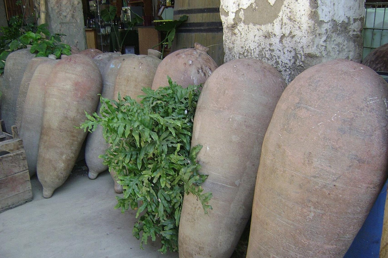 Pisco &amp; Wine Tasting Tour: Descobre a fascinante viagem do Pisco