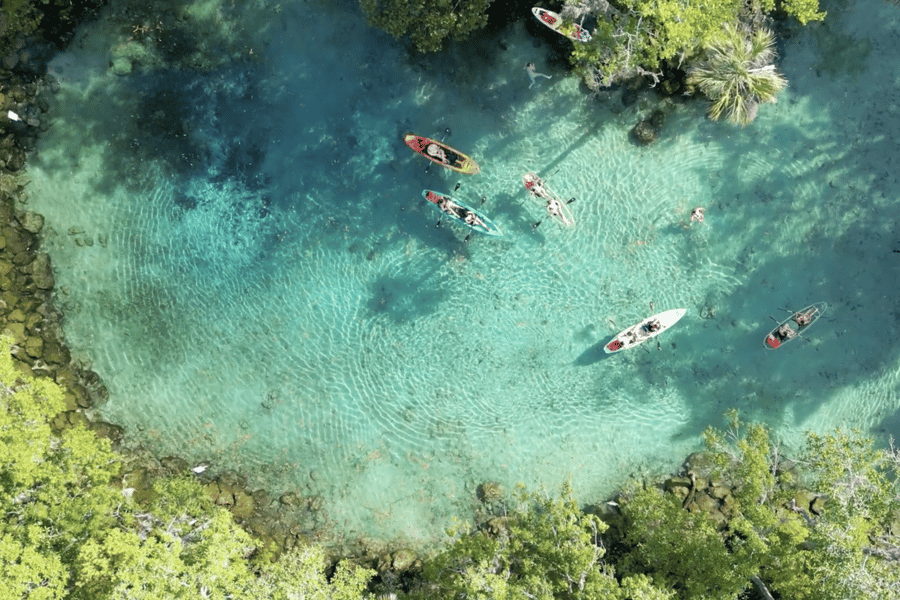 Crystal River: Three Sisters Spring – Seekuh-Tour mit transparentem Kajak. Foto: GetYourGuide Crystal River: Three Sisters Spring – Seekuh-Tour mit transparentem Kajak. Foto: GetYourGuide