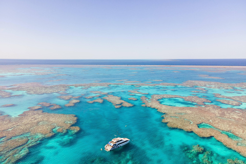 Airlie Beach: Great Barrier Reef Snorkel from Shute Harbour