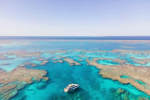 Airlie Beach: Great Barrier Reef Snorkel from Shute Harbour - Image 3