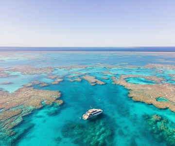 Airlie Beach: Snorkel na Grande Barreira de Corais a partir de Shute Harbour