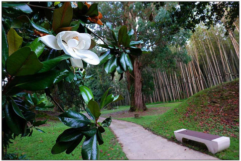 From Batumi: Georgian Amazon & Kolkheti Park Tour