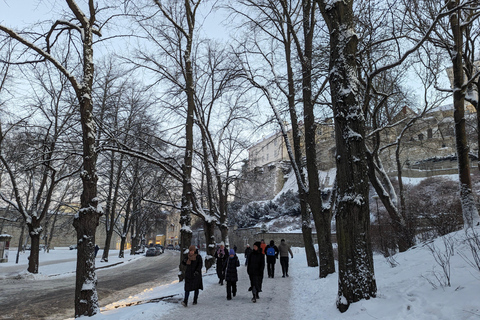 从赫尔辛基出发：塔林一日游（含轮渡和晚餐）