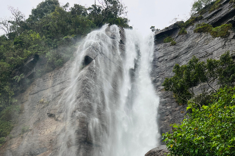 Nuwara Eliya: Free Nine Tea Varieties Tasting & TukTuk Tour