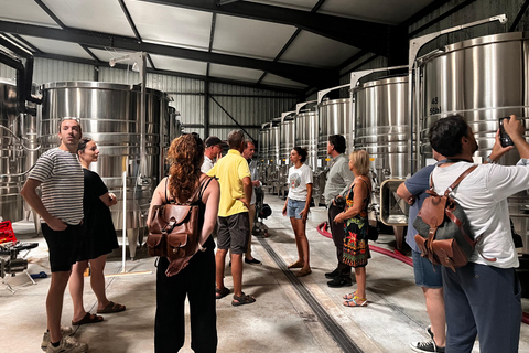 From Marseille: Wine and Scenery around Aix-en-Provence