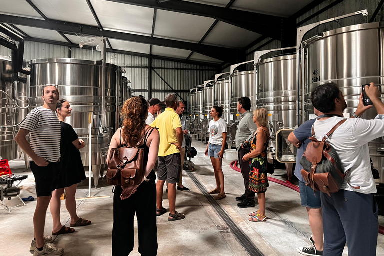 From Marseille: Wine and Scenery around Aix-en-Provence