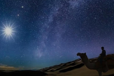 Doha: Highlights Guided Desert Safari with Camel & Quad Bike