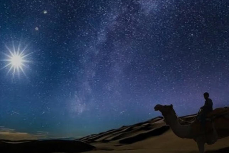 Doha: Highlights Guided Desert Safari with Camel & Quad Bike