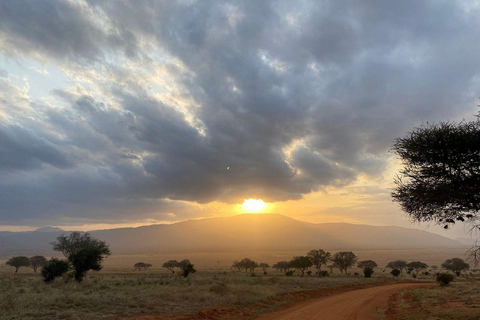 Diani/Mombasa: 2 Days to Tsavo East & Tsavo West with meals