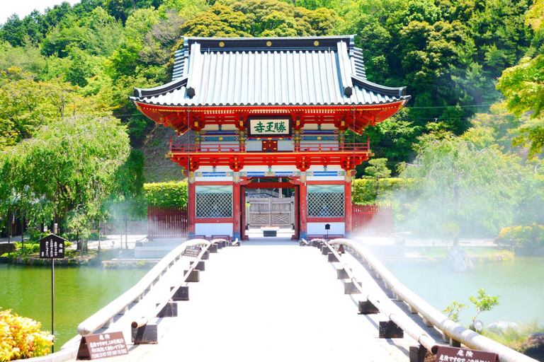 Osaka: Tour di un giorno di Minoh, Tempio di Katsuoji e Cascate di MinohOsaka: Tour di un giorno di Minoh, Tempio di Katsuoji e cascate di Minoh