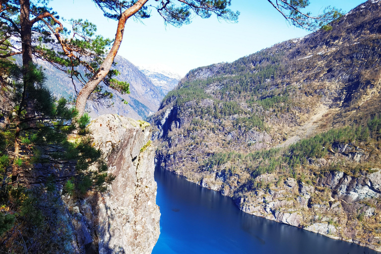 Passeio flexível ao Castelo de Modalen, Hesjedalsfossen pode ser uma caminhadaPasseio flexível para Modalen O Castelo Hesjedalsfossen