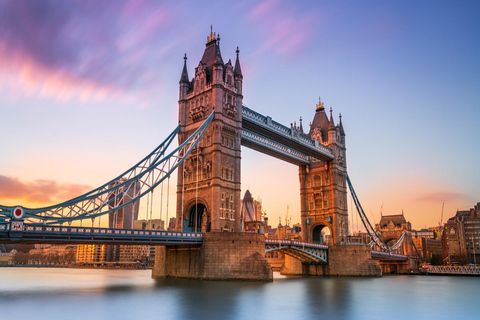 Tour della Torre di Londra con guida privata, biglietti e servizio di prelievoTour della Torre di Londra con guida privata, biglietti, ritiro