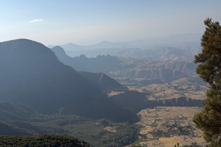 Gondar: Simien Mountains 4-Day Guided Trekking Tour