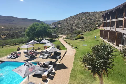 Visite privée : Safari Big 5, découvrez les animaux sauvages