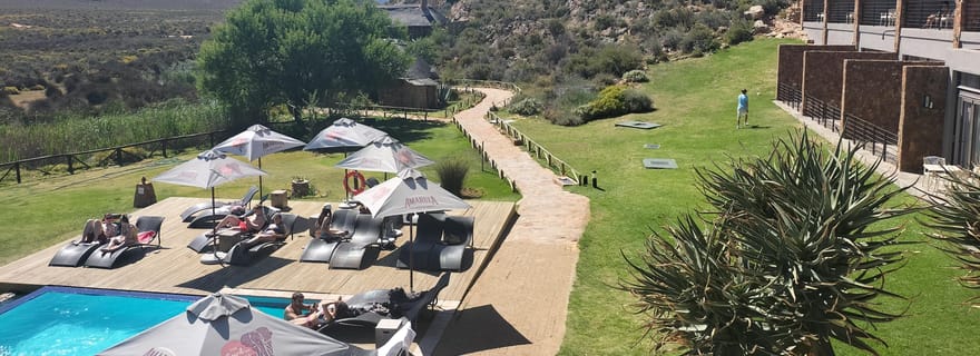 Visite privée : Safari Big 5, découvrez les animaux sauvages