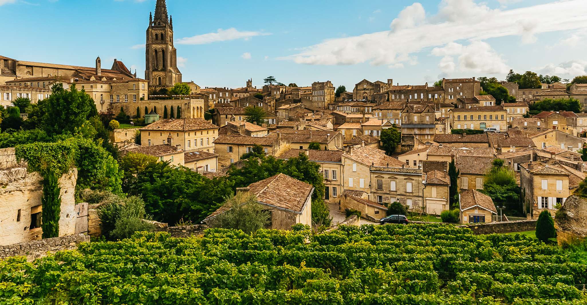Da Bordeaux, St. Emilion Village Tour del Vino di mezza giornata - Hizvo