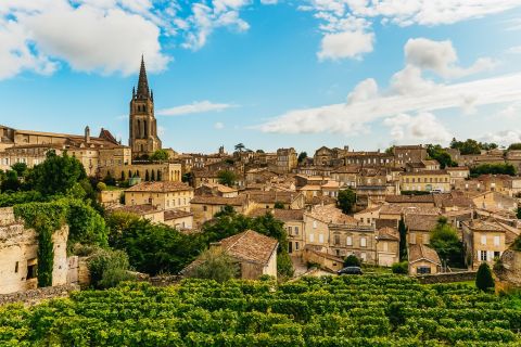 Z Bordeaux: Półdniowa wycieczka po Saint-Émilion