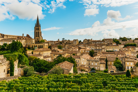 Da Bordeaux: tour enologico di mezza giornata a Saint-Émilion