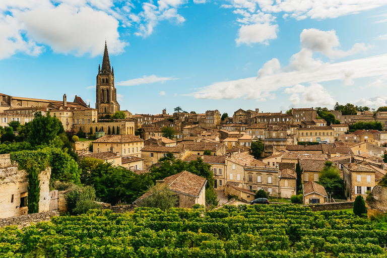 Från Bordeaux: Halv dags tur till St Émilion för vinprovning