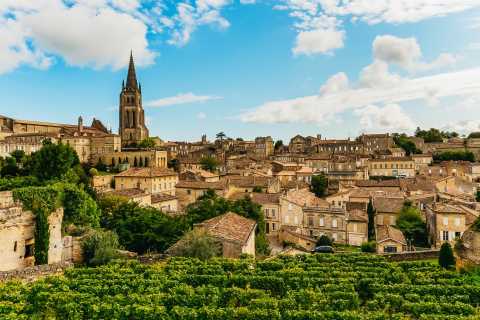 Vanuit Bordeaux: halfdaagse wijntour Saint-Émilion