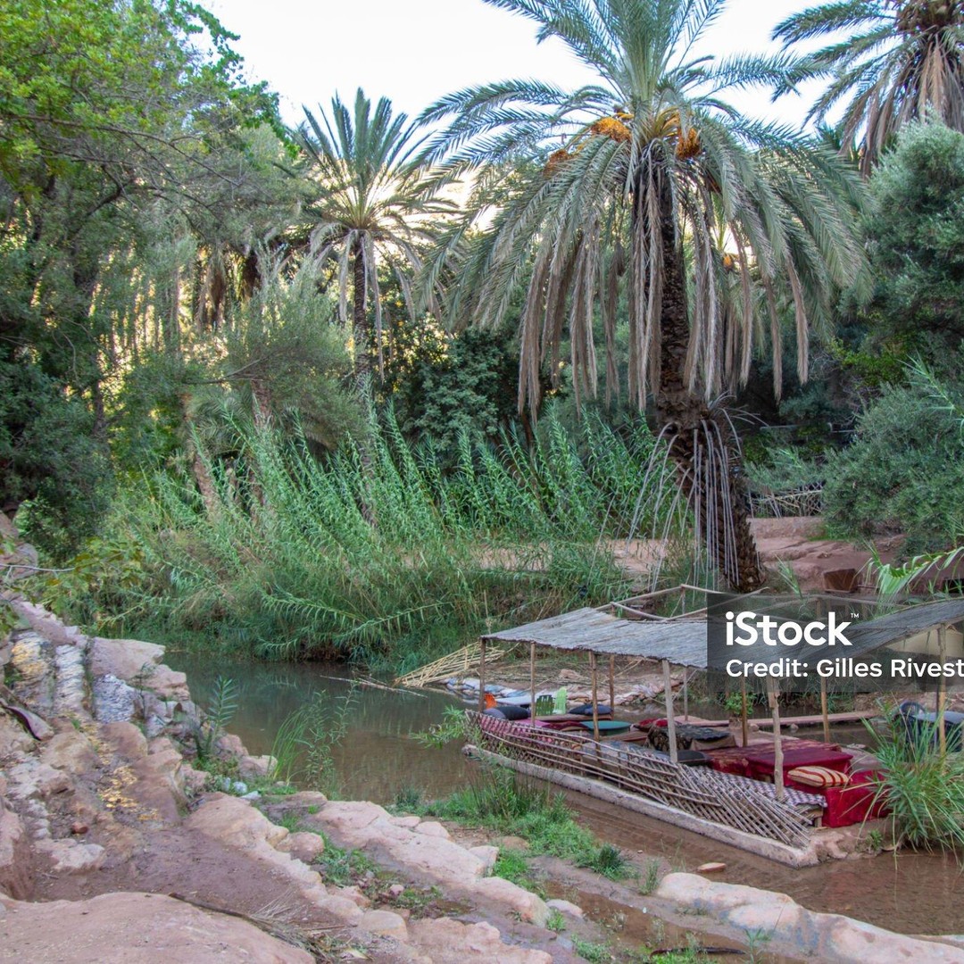 Agadir/Taghazout : Vallée paradisiaque et sandboard avec déjeuner