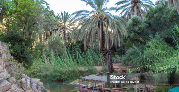Agadir/Taghazout : Paradise Valley & Sandboarding with Lunch