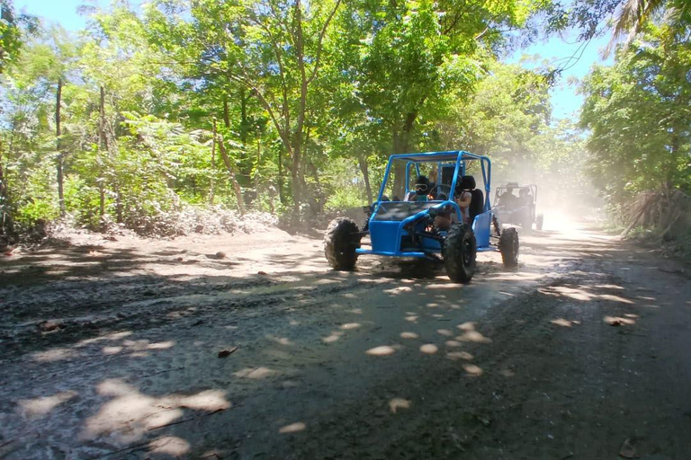 Puerto Plata: Buggy Ride, Monkey Home