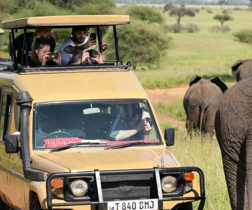 Da Dar es Salaam: Safari di 3 giorni a Udzungwa e Mikumi