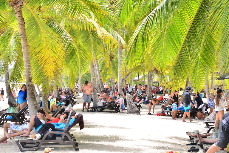 Punta Cana: Island escape to Saona, catamaran & beach lunch Punta Cana: Catamaran Party Cruise | Open Bar & Snorkeling