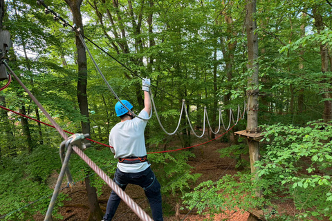 Kelkheim: Outdoor climbing experience in the forest ropes course with circuit and zip lines