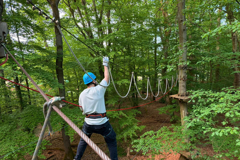 Kelkheim: Outdoor climbing experience in the forest ropes course with circuit and zip lines