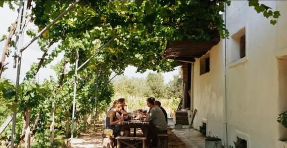 Vineyard Sips: Family Winery Tour & Gourmet Tasting in Corfu
