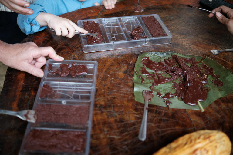 Cacao and Poza del Amor Experience in Tayrona