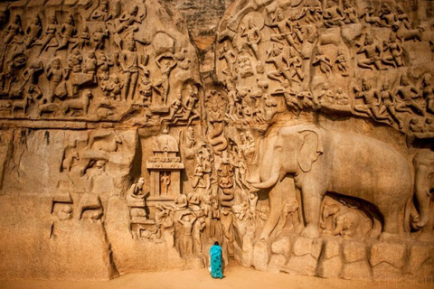 From Chennai: 12-Day Private Tour to Cochin with 3-Star Stay Chennai to Cochin 12 Days Private Tour with 3* Hotels