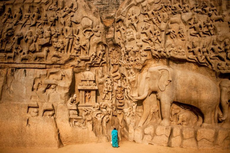 From Chennai: 12-Day Private Tour to Cochin with 3-Star Stay Chennai to Cochin 12 Days Private Tour with 3* Hotels