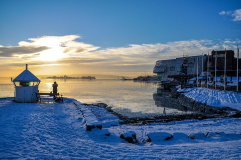 Skip-the-line Fram Museum Oslo Private Tour with Tickets 2-hour: Fram Museum