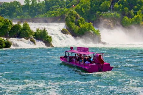 From Zurich: Rhine Falls and Laufen Castle Private tour